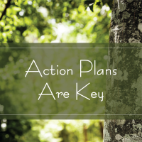Action Plans Are Key